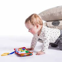 Baby Einstein Explore and Discover Soft Book